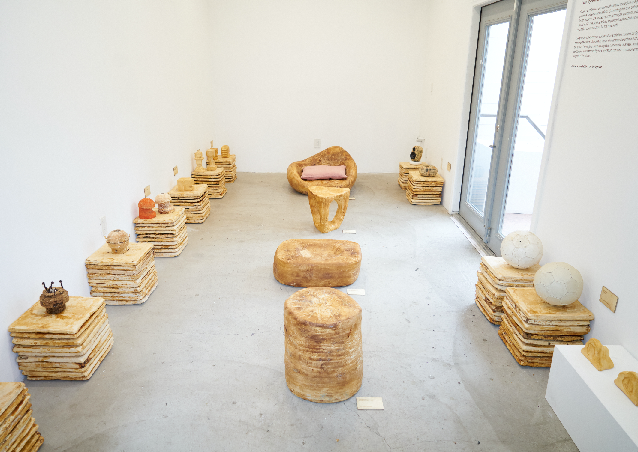 Space Available x Brain Dead: The Mycelium Network Exhibition