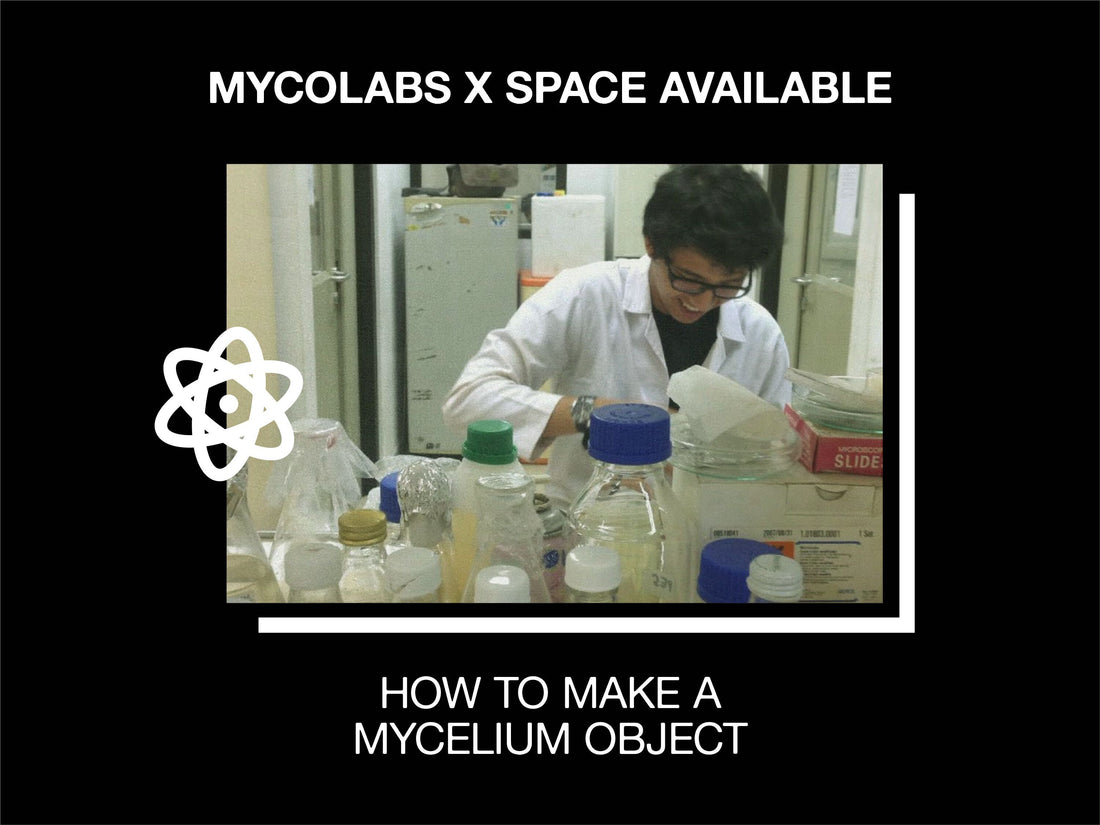 RE3: How To Make A Mycelium Object
