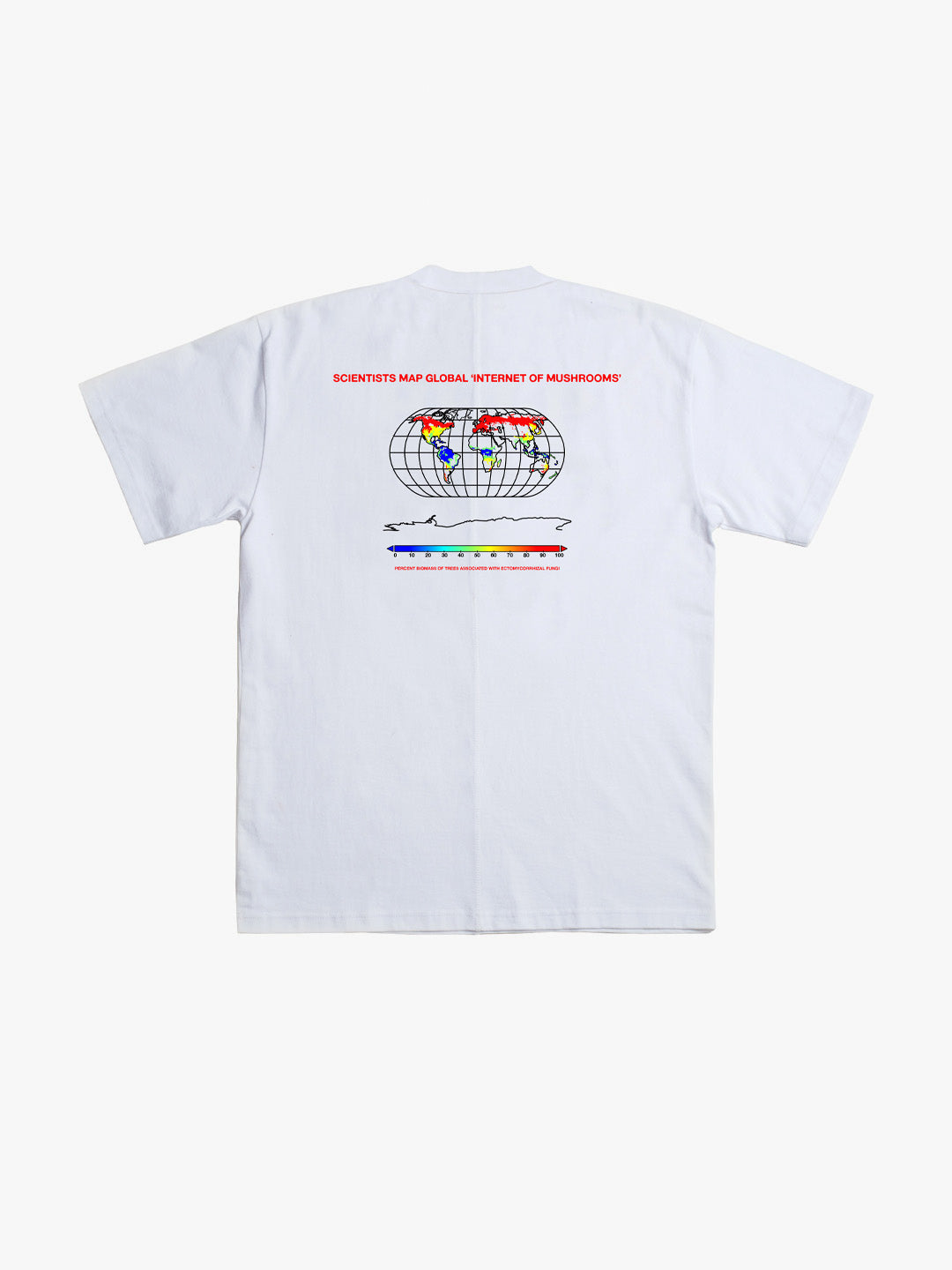 Upcycled Mycology Research T White